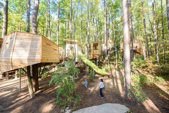 Woodland treehouses and play structures at the Museum of Life and Science
